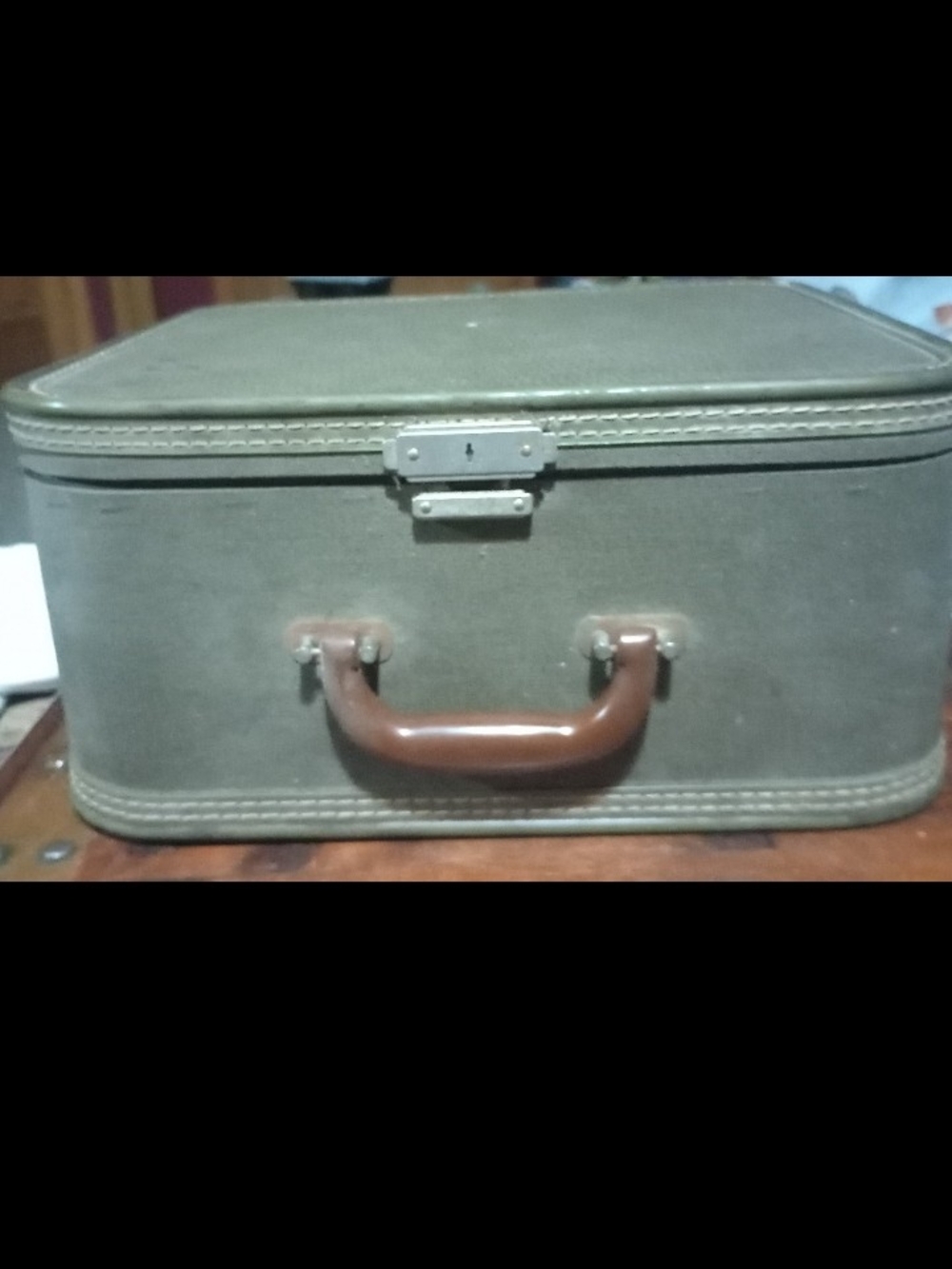 Classic Antique Olive Green Train Case with Brown Handle